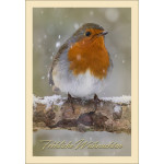 Weihnachtskarte: Rotkehlchen